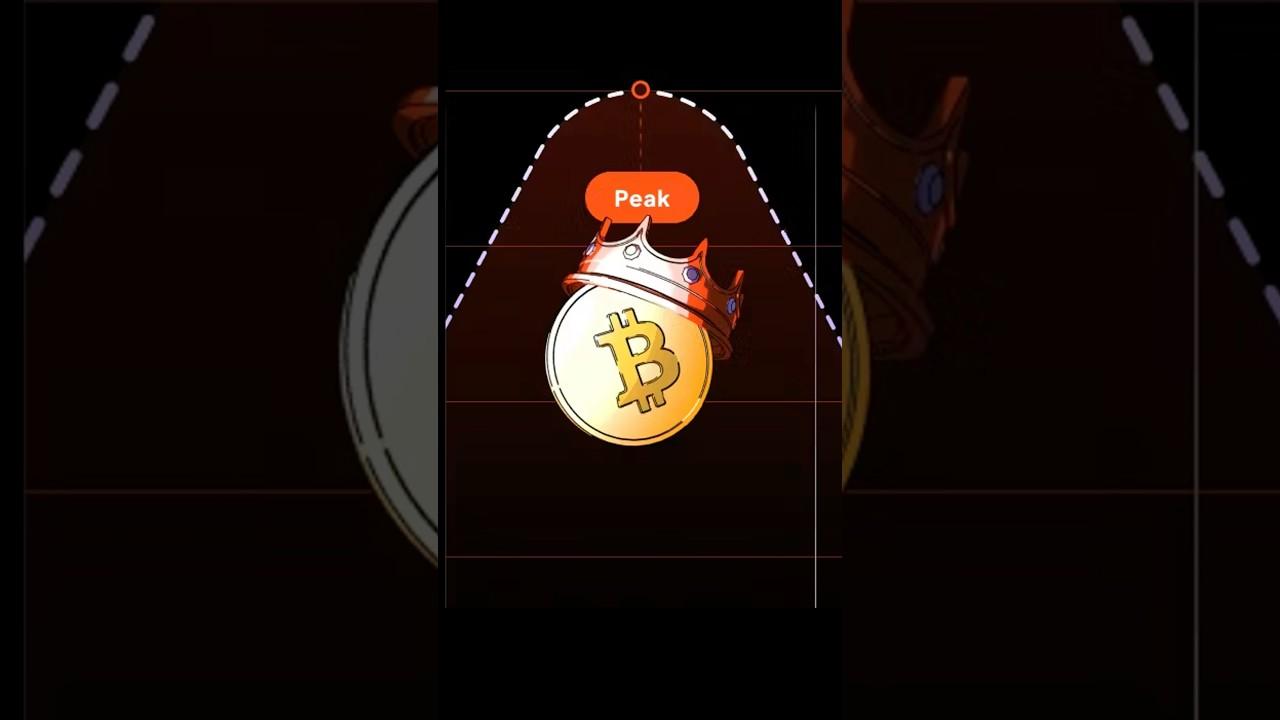 Bitcoin ab nahi badhega? #btc #shortsvideo